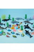 Ocean Life Each