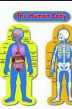 Human Body Chart