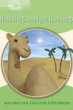 Little Explorers A: Teddy'S Big Day